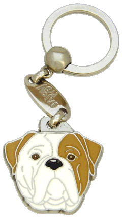 American bulldog brown eyed