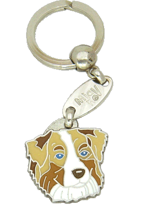 Australian shepherd red merle