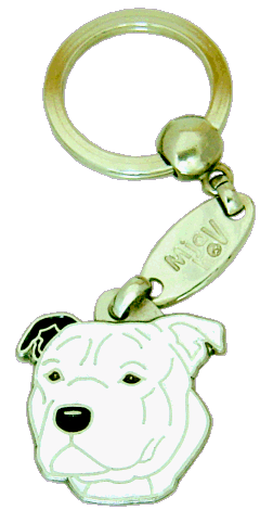 Staffordshire bullterrier white, black ear