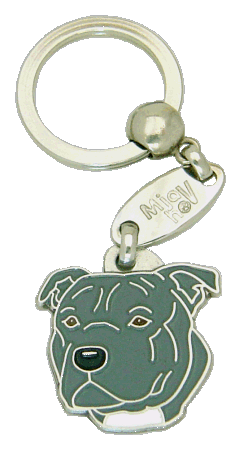 Staffordshire bullterrier grey