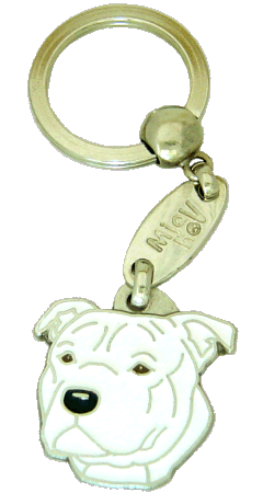 Staffordshire bullterrier white