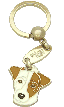 Russell terrier white, brown ear