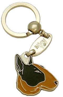 Bull terrier black & tan