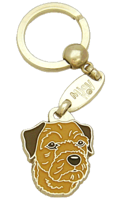 Border terrier brown