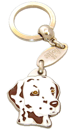 Dalmatian brown white