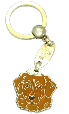 Nova scotia duck tolling retriever-toller brown - pet ID tag, dog ID tags, pet tags, personalized pet tags MjavHov - engraved pet tags online