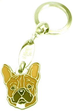 French bulldog brown